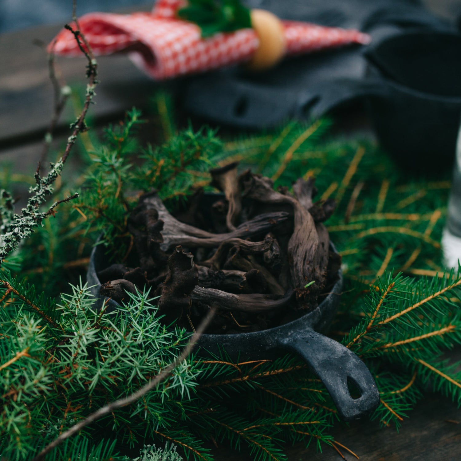 KUPILKA 55 - soup bowl