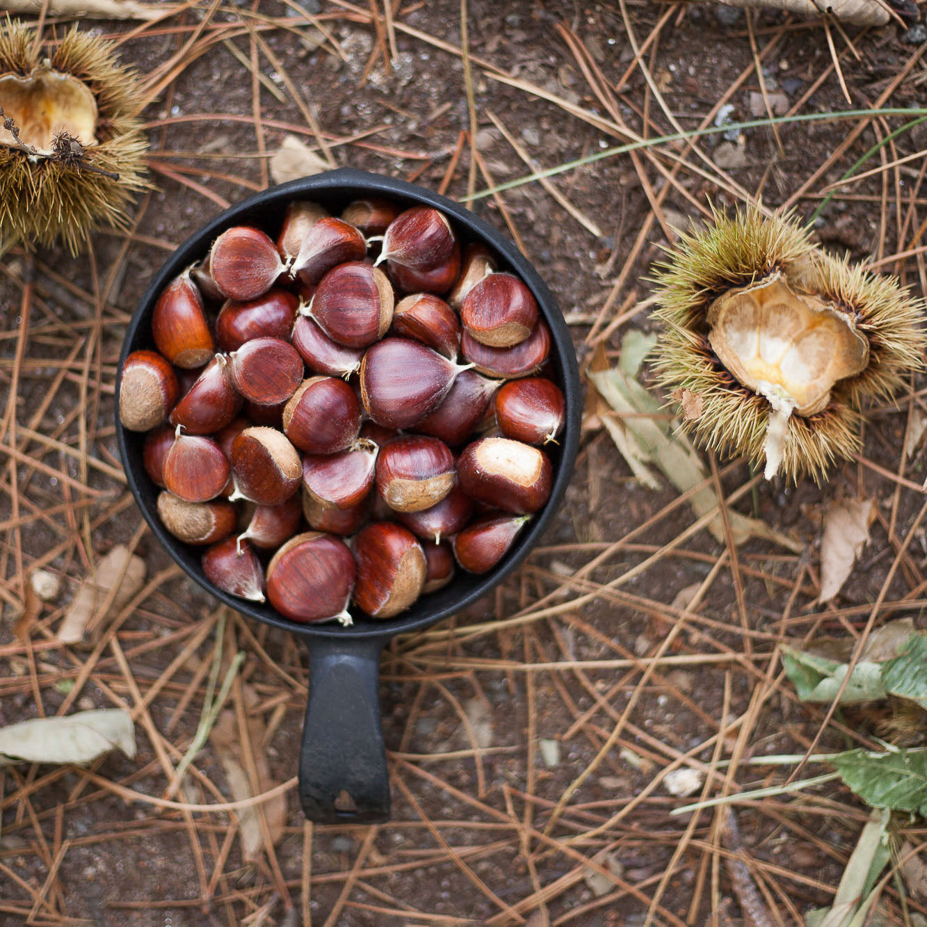 KUPILKA 55 - syvä lautanen