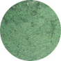 Conifer Green